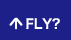 FLY？