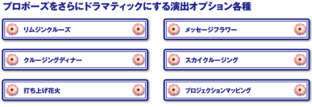 オプション例一覧