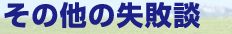 その他の失敗談
